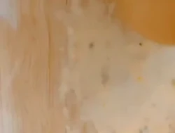 清明假期玩母狗畜牲