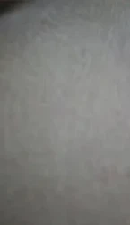 后入青岛肥臀嫩逼黑森林