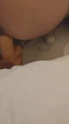 丝袜女2
