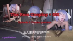 主人喜欢这个雷姆吗
