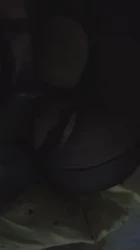 天津后入大屁股小母狗