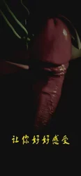 济南的母狗 连续高潮 惨叫