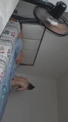 你的贤惠老婆被戴狗链子成为了野男人的狗…