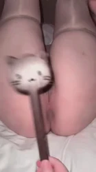 打白虎骚逼