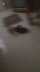 自拍，广西大学室友还是太猛了，4P坐台妹哇哇叫