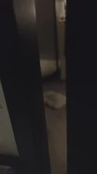 洗澡等待