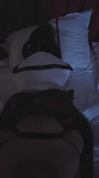 南昌05粉丝给我当飞机杯操