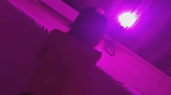 回国约操大连连裤袜骚1