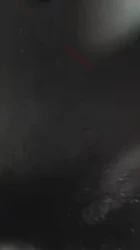 无套插黄毛眼镜妹 最后射她一屁股
